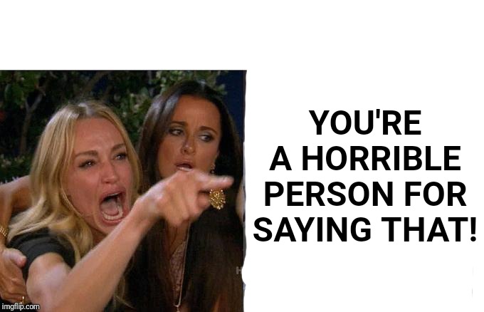 Woman Yelling At Cat Meme | YOU'RE A HORRIBLE PERSON FOR SAYING THAT! | image tagged in memes,woman yelling at cat | made w/ Imgflip meme maker