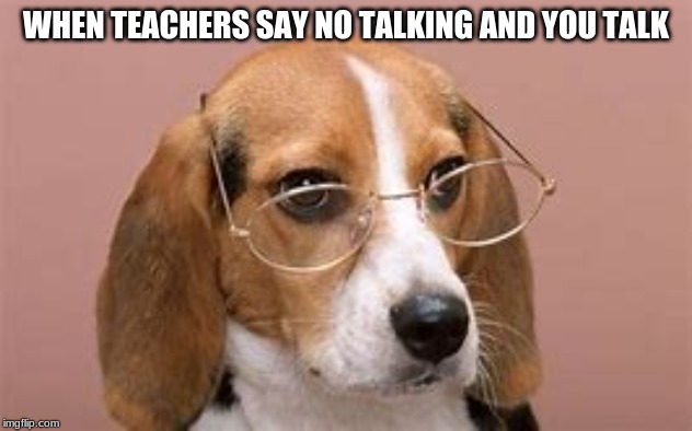 WHEN TEACHERS SAY NO TALKING AND YOU TALK | image tagged in teacher dog | made w/ Imgflip meme maker