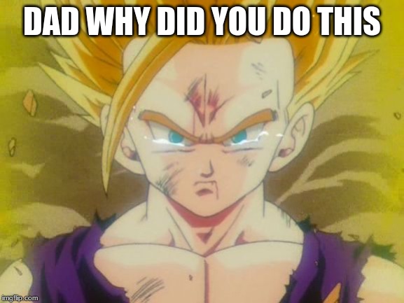 sad Gohan ssj2 | DAD WHY DID YOU DO THIS | image tagged in sad gohan ssj2 | made w/ Imgflip meme maker