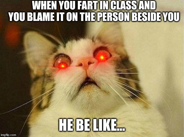 Scared Cat Meme | WHEN YOU FART IN CLASS AND YOU BLAME IT ON THE PERSON BESIDE YOU; HE BE LIKE... | image tagged in memes,scared cat | made w/ Imgflip meme maker