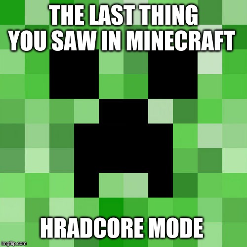 Scumbag Minecraft Meme | THE LAST THING YOU SAW IN MINECRAFT; HRADCORE MODE | image tagged in memes,scumbag minecraft | made w/ Imgflip meme maker