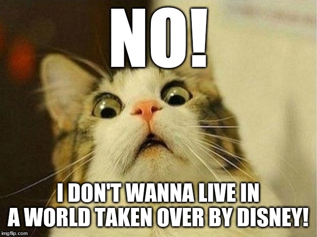 Listen to the cat, upvote, and disney takeover will be a day away | NO! I DON'T WANNA LIVE IN A WORLD TAKEN OVER BY DISNEY! | image tagged in memes,scared cat | made w/ Imgflip meme maker