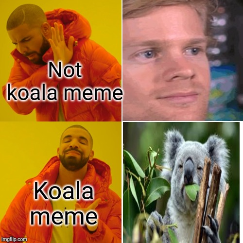 One must simply post a koala meme. | Not koala meme; Koala meme | image tagged in memes,drake hotline bling,koala,funny,surprised koala | made w/ Imgflip meme maker