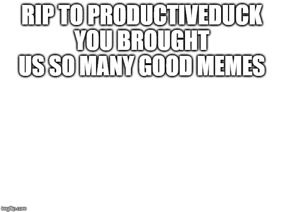 Blank White Template | RIP TO PRODUCTIVEDUCK YOU BROUGHT US SO MANY GOOD MEMES | image tagged in blank white template | made w/ Imgflip meme maker