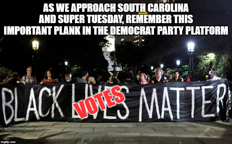 #BLEXIT | AS WE APPROACH SOUTH CAROLINA AND SUPER TUESDAY, REMEMBER THIS IMPORTANT PLANK IN THE DEMOCRAT PARTY PLATFORM; VOTES | image tagged in blexit | made w/ Imgflip meme maker