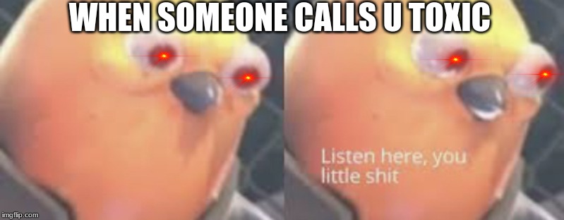 Listen here you little shit bird | WHEN SOMEONE CALLS U TOXIC | image tagged in listen here you little shit bird | made w/ Imgflip meme maker