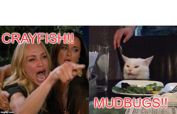 Woman Yelling At Cat | CRAYFISH!! MUDBUGS!! | image tagged in memes,woman yelling at cat | made w/ Imgflip meme maker