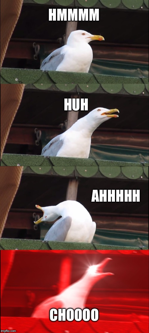 Inhaling Seagull | HMMMM; HUH; AHHHHH; CHOOOO | image tagged in memes,inhaling seagull | made w/ Imgflip meme maker