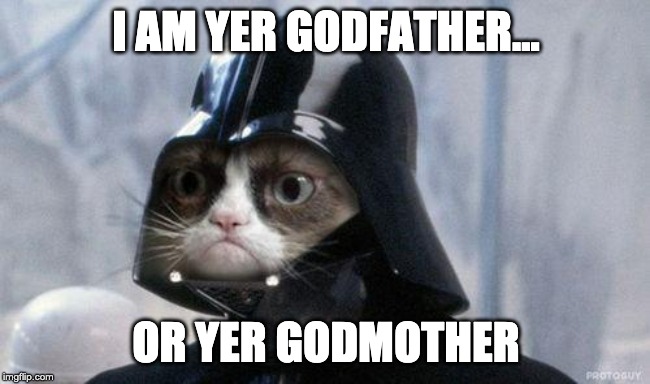 Grumpy Cat Star Wars | I AM YER GODFATHER... OR YER GODMOTHER | image tagged in memes,grumpy cat star wars,grumpy cat | made w/ Imgflip meme maker