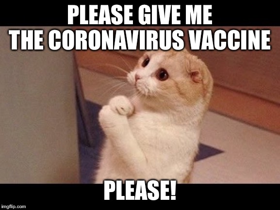Cat caught Covid-19 | PLEASE GIVE ME THE CORONAVIRUS VACCINE; PLEASE! | image tagged in pleading cat,coronavirus,cats,cat,cute cat | made w/ Imgflip meme maker