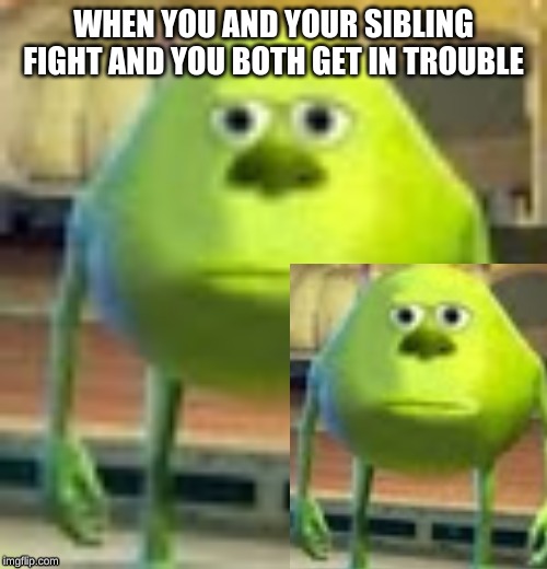WHEN YOU AND YOUR SIBLING FIGHT AND YOU BOTH GET IN TROUBLE | image tagged in sully wazowski,memes,meme | made w/ Imgflip meme maker