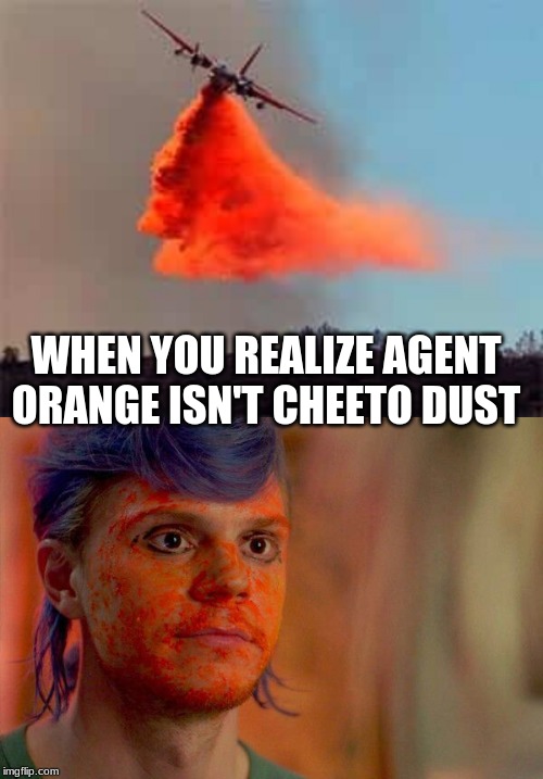 Agent Orange | WHEN YOU REALIZE AGENT ORANGE ISN'T CHEETO DUST | image tagged in vietnam,cheetos | made w/ Imgflip meme maker