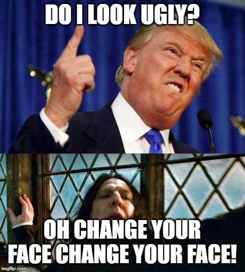 Donald Snape | DO I LOOK UGLY? OH CHANGE YOUR FACE CHANGE YOUR FACE! | image tagged in donald snape | made w/ Imgflip meme maker