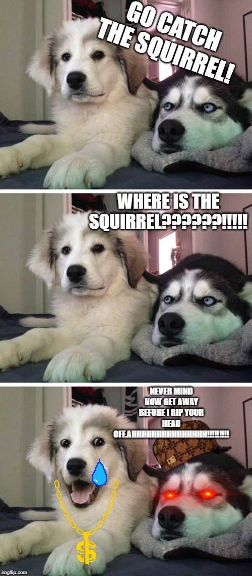 Bad pun dogs | GO CATCH THE SQUIRREL! WHERE IS THE SQUIRREL??????!!!!! NEVER MIND NOW GET AWAY BEFORE I RIP YOUR HEAD OFF.AHHHHHHHHHHHHHHH!!!!!!!!! | image tagged in bad pun dogs | made w/ Imgflip meme maker