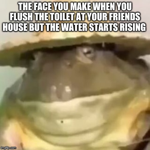 REEEEEEEEAL!! - When you flush the toilet and the water starts risin -  iFunny Brazil