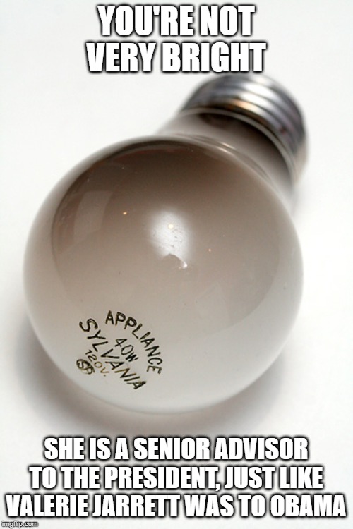 burnt out light bulb | YOU'RE NOT VERY BRIGHT SHE IS A SENIOR ADVISOR TO THE PRESIDENT, JUST LIKE VALERIE JARRETT WAS TO OBAMA | image tagged in burnt out light bulb | made w/ Imgflip meme maker