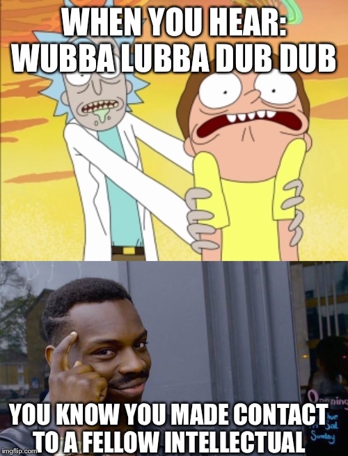 WHEN YOU HEAR: WUBBA LUBBA DUB DUB; YOU KNOW YOU MADE CONTACT TO A FELLOW INTELLECTUAL | image tagged in memes,roll safe think about it,wubba lubba dub dub biatch | made w/ Imgflip meme maker