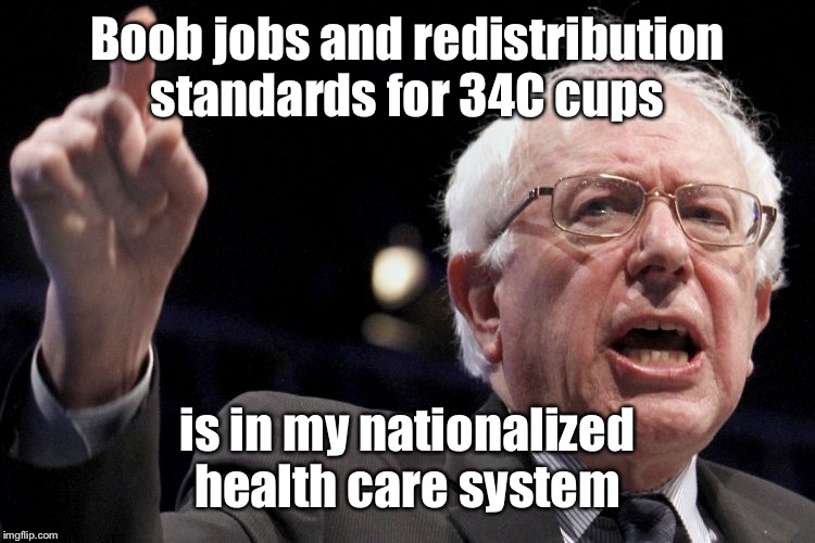 Bernie Sanders | Boob jobs and redistribution standards for 34C cups is in my nationalized health care system | image tagged in bernie sanders | made w/ Imgflip meme maker