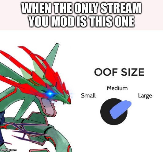 WHEN THE ONLY STREAM YOU MOD IS THIS ONE | image tagged in oof size rayterna | made w/ Imgflip meme maker