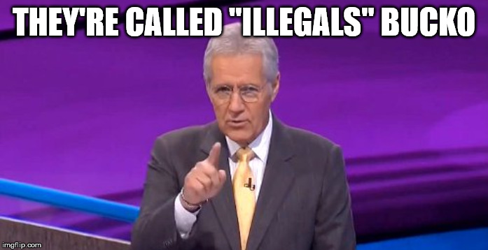 alex trebeck correct | THEY'RE CALLED "ILLEGALS" BUCKO | image tagged in alex trebeck correct | made w/ Imgflip meme maker