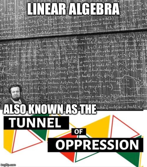 How many of y’all feel this?? | LINEAR ALGEBRA; ALSO KNOWN AS THE | image tagged in huge math problem,oof,oppression,university math | made w/ Imgflip meme maker