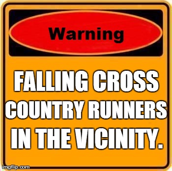 Warning Sign Meme | FALLING CROSS IN THE VICINITY. COUNTRY RUNNERS | image tagged in memes,warning sign | made w/ Imgflip meme maker