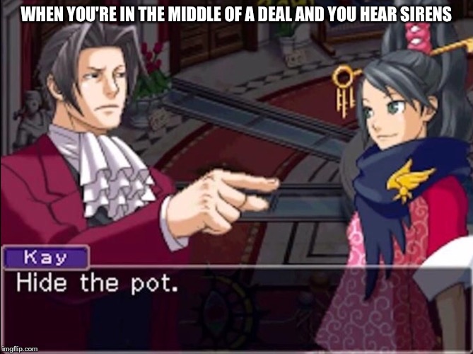 Pot | WHEN YOU'RE IN THE MIDDLE OF A DEAL AND YOU HEAR SIRENS | image tagged in ace attorney,drugs,hide and seek | made w/ Imgflip meme maker