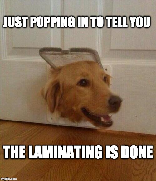 Dog door | JUST POPPING IN TO TELL YOU; THE LAMINATING IS DONE | image tagged in dog door | made w/ Imgflip meme maker