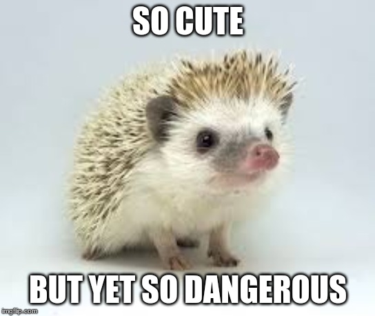 true | SO CUTE; BUT YET SO DANGEROUS | image tagged in cute | made w/ Imgflip meme maker