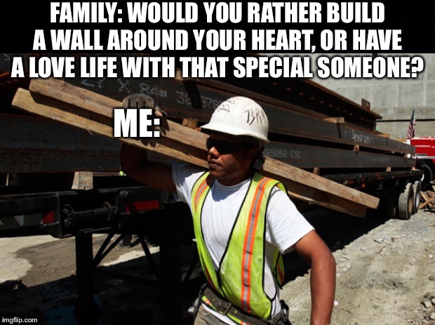 No Love | FAMILY: WOULD YOU RATHER BUILD A WALL AROUND YOUR HEART, OR HAVE A LOVE LIFE WITH THAT SPECIAL SOMEONE? ME: | image tagged in no love | made w/ Imgflip meme maker