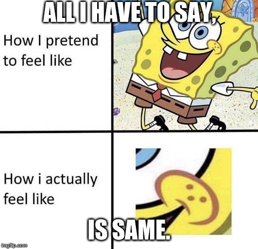 ALL I HAVE TO SAY, IS SAME. | image tagged in memes | made w/ Imgflip meme maker