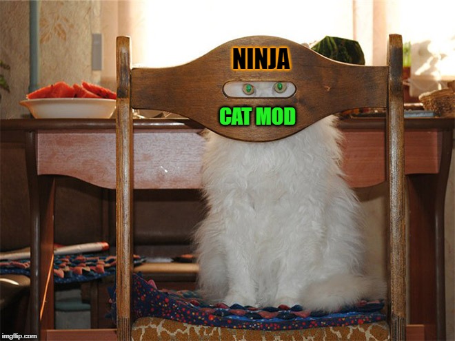 NINJA; CAT MOD | made w/ Imgflip meme maker