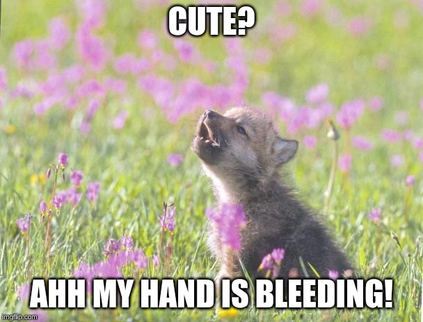 Baby Insanity Wolf Meme | CUTE? AHH MY HAND IS BLEEDING! | image tagged in memes,baby insanity wolf | made w/ Imgflip meme maker