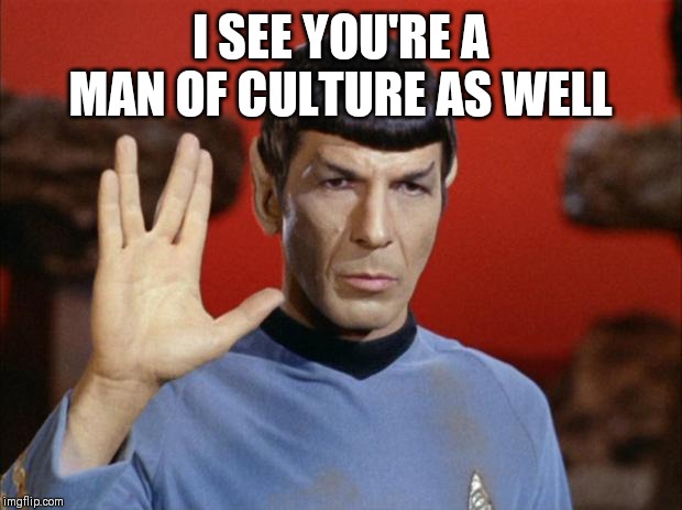 spock salute | I SEE YOU'RE A MAN OF CULTURE AS WELL | image tagged in spock salute | made w/ Imgflip meme maker