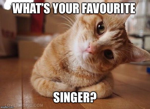 And why | WHAT’S YOUR FAVOURITE; SINGER? | image tagged in curious question cat,taylor swift,cats | made w/ Imgflip meme maker