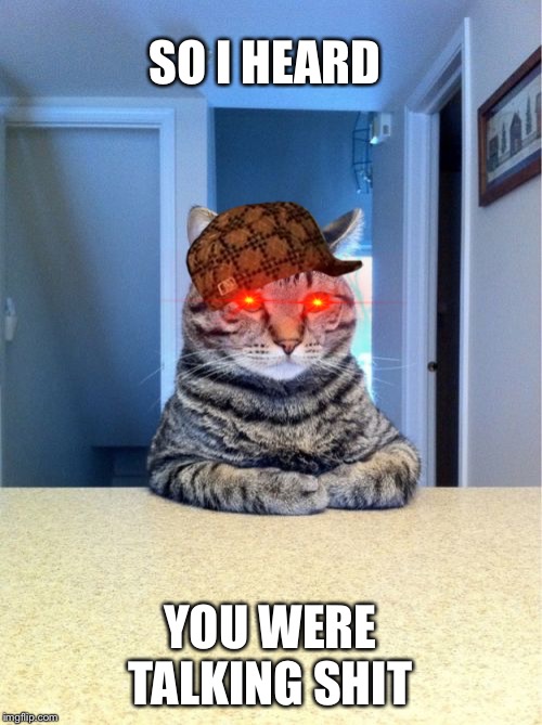 Take A Seat Cat Meme | SO I HEARD; YOU WERE TALKING SHIT | image tagged in memes,take a seat cat | made w/ Imgflip meme maker
