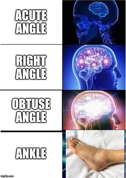 Ankle | ACUTE ANGLE; RIGHT ANGLE; OBTUSE ANGLE; ANKLE | image tagged in memes,expanding brain | made w/ Imgflip meme maker