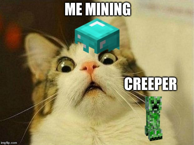 Scared Cat Meme | ME MINING; CREEPER | image tagged in memes,scared cat | made w/ Imgflip meme maker