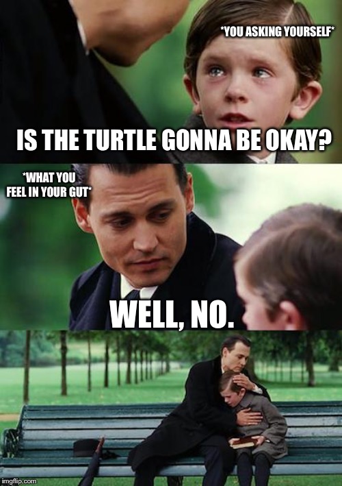 Finding Neverland Meme | IS THE TURTLE GONNA BE OKAY? WELL, NO. *YOU ASKING YOURSELF* *WHAT YOU FEEL IN YOUR GUT* | image tagged in memes,finding neverland | made w/ Imgflip meme maker