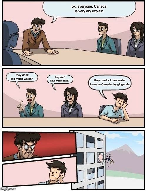 Boardroom Meeting Suggestion Meme | ok, everyone, Canada is very dry explain; they drink too much water? they don't have many lakes? they used all their water to make Canada dry gingerale | image tagged in memes,boardroom meeting suggestion | made w/ Imgflip meme maker