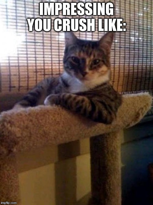 The Most Interesting Cat In The World | IMPRESSING YOU CRUSH LIKE: | image tagged in memes,the most interesting cat in the world | made w/ Imgflip meme maker