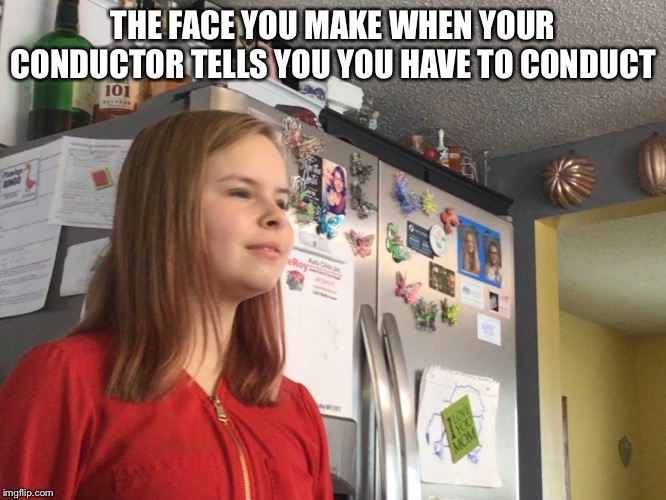 THE FACE YOU MAKE WHEN YOUR CONDUCTOR TELLS YOU YOU HAVE TO CONDUCT | image tagged in wierd | made w/ Imgflip meme maker