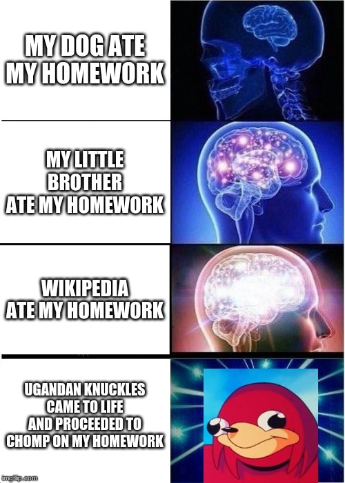 Expanding Brain | MY DOG ATE MY HOMEWORK; MY LITTLE BROTHER ATE MY HOMEWORK; WIKIPEDIA ATE MY HOMEWORK; UGANDAN KNUCKLES CAME TO LIFE AND PROCEEDED TO CHOMP ON MY HOMEWORK | image tagged in memes,expanding brain | made w/ Imgflip meme maker
