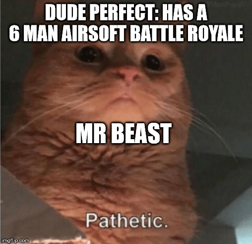Pathetic Cat | DUDE PERFECT: HAS A 6 MAN AIRSOFT BATTLE ROYALE; MR BEAST | image tagged in pathetic cat | made w/ Imgflip meme maker