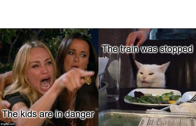 Woman Yelling At Cat Meme | The train was stopped; The kids are in danger | image tagged in memes,woman yelling at cat | made w/ Imgflip meme maker