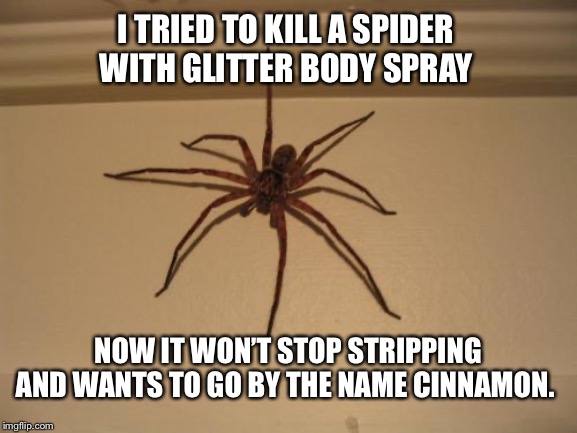 Scumbag Spider | I TRIED TO KILL A SPIDER WITH GLITTER BODY SPRAY; NOW IT WON’T STOP STRIPPING AND WANTS TO GO BY THE NAME CINNAMON. | image tagged in scumbag spider | made w/ Imgflip meme maker