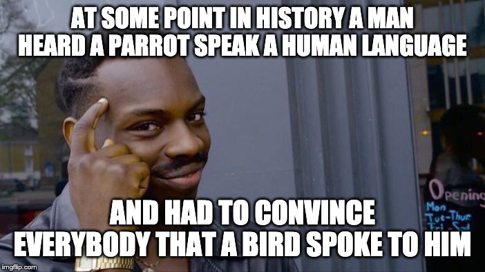 Roll Safe Think About It | AT SOME POINT IN HISTORY A MAN HEARD A PARROT SPEAK A HUMAN LANGUAGE; AND HAD TO CONVINCE EVERYBODY THAT A BIRD SPOKE TO HIM | image tagged in memes,roll safe think about it | made w/ Imgflip meme maker