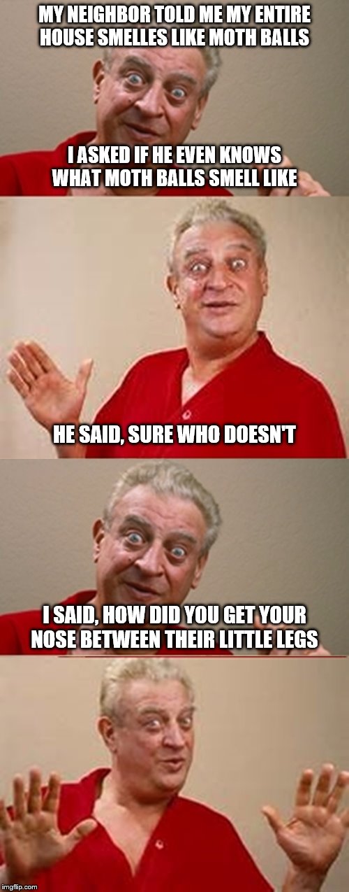 Bad Pun Rodney Dangerfield |  MY NEIGHBOR TOLD ME MY ENTIRE HOUSE SMELLES LIKE MOTH BALLS; I ASKED IF HE EVEN KNOWS WHAT MOTH BALLS SMELL LIKE; HE SAID, SURE WHO DOESN'T; I SAID, HOW DID YOU GET YOUR NOSE BETWEEN THEIR LITTLE LEGS | image tagged in bad pun rodney dangerfield | made w/ Imgflip meme maker