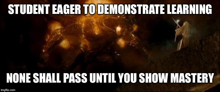Gandalf vs Balrog | STUDENT EAGER TO DEMONSTRATE LEARNING; NONE SHALL PASS UNTIL YOU SHOW MASTERY | image tagged in gandalf vs balrog | made w/ Imgflip meme maker