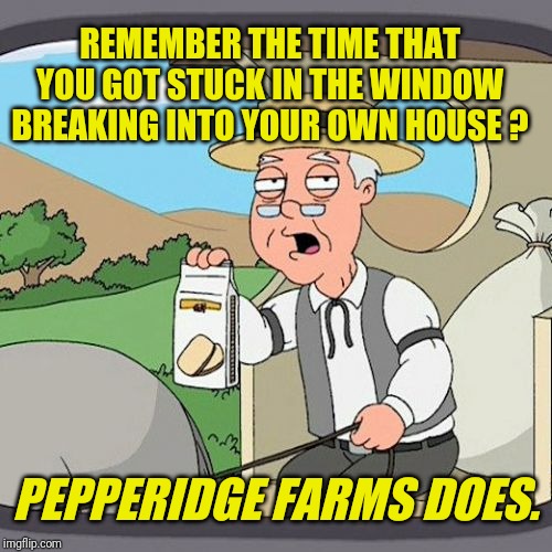 Pepperidge Farm Remembers | REMEMBER THE TIME THAT YOU GOT STUCK IN THE WINDOW BREAKING INTO YOUR OWN HOUSE ? PEPPERIDGE FARMS DOES. | image tagged in memes,pepperidge farm remembers | made w/ Imgflip meme maker